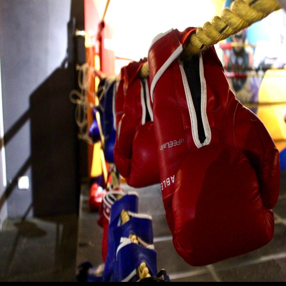 A row of red and blue boxing gloves hanging on a rope inside a gym.