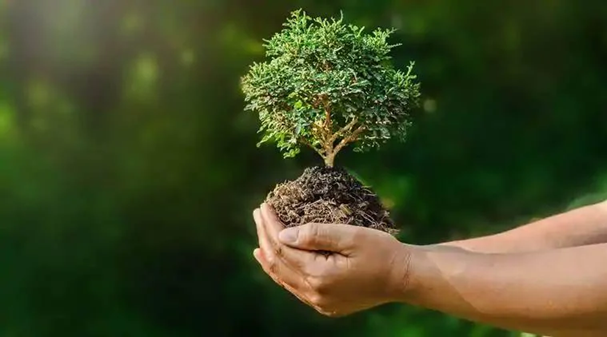 organic farming